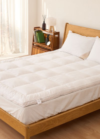 이미지를 찾을 수 없습니다.