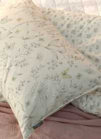 이미지를 찾을 수 없습니다.