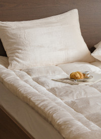 이미지를 찾을 수 없습니다.