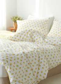 이미지를 찾을 수 없습니다.