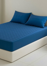 이미지를 찾을 수 없습니다.