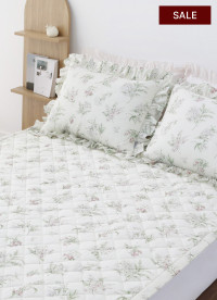 이미지를 찾을 수 없습니다.