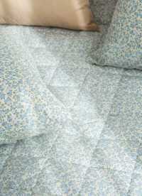 이미지를 찾을 수 없습니다.