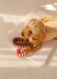 이미지를 찾을 수 없습니다.