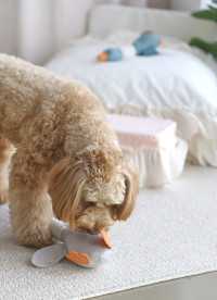 이미지를 찾을 수 없습니다.