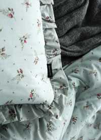 이미지를 찾을 수 없습니다.