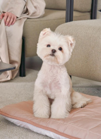 이미지를 찾을 수 없습니다.