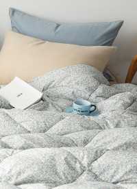 이미지를 찾을 수 없습니다.