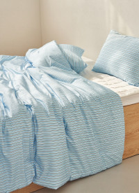 이미지를 찾을 수 없습니다.