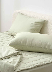 이미지를 찾을 수 없습니다.