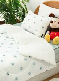 이미지를 찾을 수 없습니다.