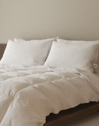 이미지를 찾을 수 없습니다.