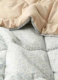 이미지를 찾을 수 없습니다.