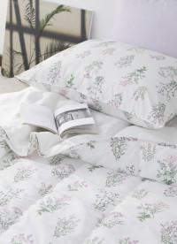 이미지를 찾을 수 없습니다.