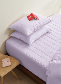 이미지를 찾을 수 없습니다.