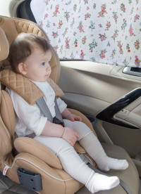 이미지를 찾을 수 없습니다.