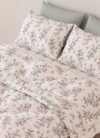 이미지를 찾을 수 없습니다.