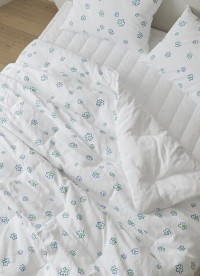 이미지를 찾을 수 없습니다.