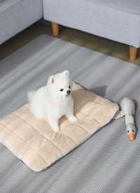 이미지를 찾을 수 없습니다.