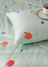 이미지를 찾을 수 없습니다.