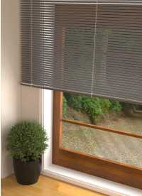 이미지를 찾을 수 없습니다.