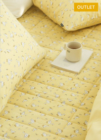 이미지를 찾을 수 없습니다.