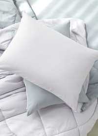 이미지를 찾을 수 없습니다.