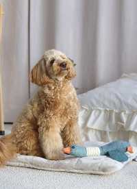 이미지를 찾을 수 없습니다.