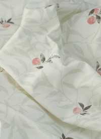 이미지를 찾을 수 없습니다.