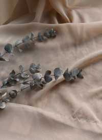 이미지를 찾을 수 없습니다.