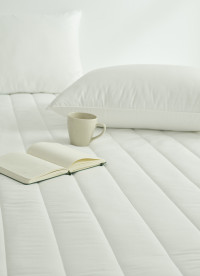 이미지를 찾을 수 없습니다.