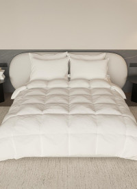 이미지를 찾을 수 없습니다.