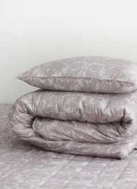 이미지를 찾을 수 없습니다.