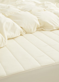 이미지를 찾을 수 없습니다.