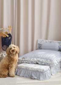 이미지를 찾을 수 없습니다.