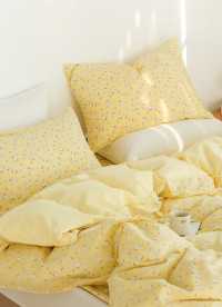 이미지를 찾을 수 없습니다.