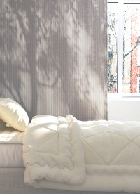 이미지를 찾을 수 없습니다.