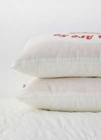 이미지를 찾을 수 없습니다.