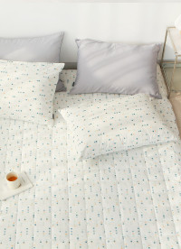 이미지를 찾을 수 없습니다.