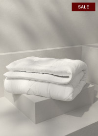 이미지를 찾을 수 없습니다.