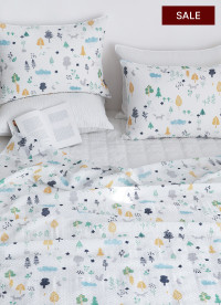 이미지를 찾을 수 없습니다.