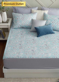 이미지를 찾을 수 없습니다.