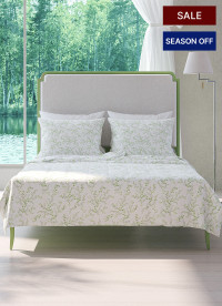 이미지를 찾을 수 없습니다.