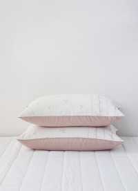 이미지를 찾을 수 없습니다.