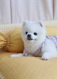 이미지를 찾을 수 없습니다.