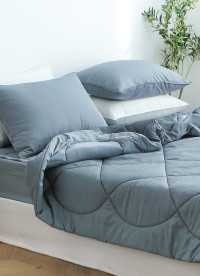 이미지를 찾을 수 없습니다.