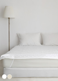 이미지를 찾을 수 없습니다.