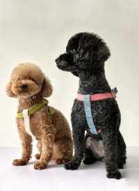 이미지를 찾을 수 없습니다.