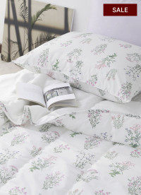 이미지를 찾을 수 없습니다.