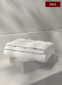 이미지를 찾을 수 없습니다.